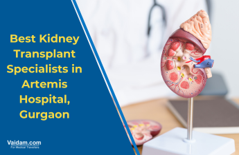 गुड़गांव के आर्टेमिस अस्पताल में सर्वश्रेष्ठ किडनी प्रत्यारोपण विशेषज्ञ