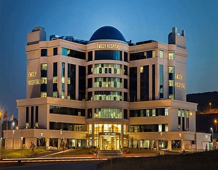 Hospital Emsey, Pendik