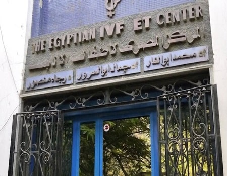 मिस्र का आईवीएफ-ईटी केंद्र, मिस्र