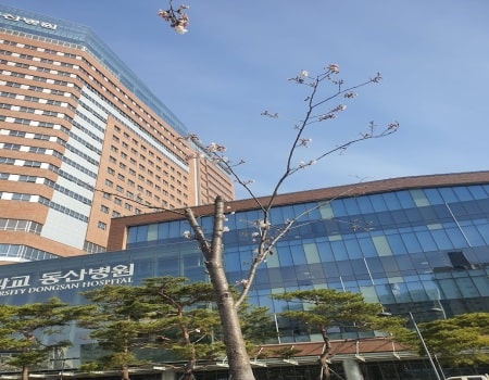 جامعة Keimyung - مركز Dongsan الطبي